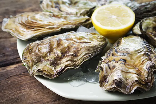 Streetfood mobiele catering